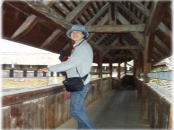 ��������ƕ|���`�`�������L�̏�