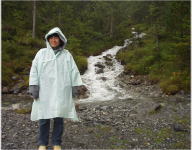 �e���e���V��H�H�@�Ђ���Ƃ��ā@�s�n�l�n(^_^;)