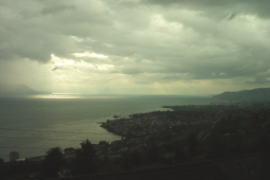 �[���̃��}����